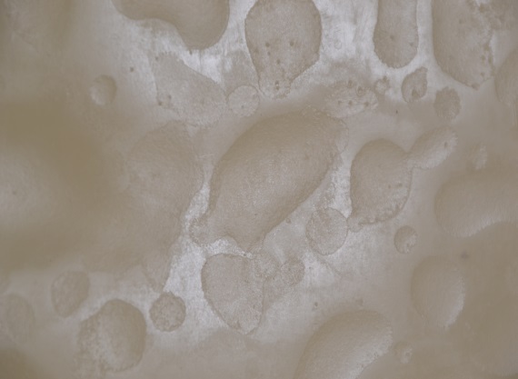 crosslinked-polyethylene-molded-with-original-rotoflow